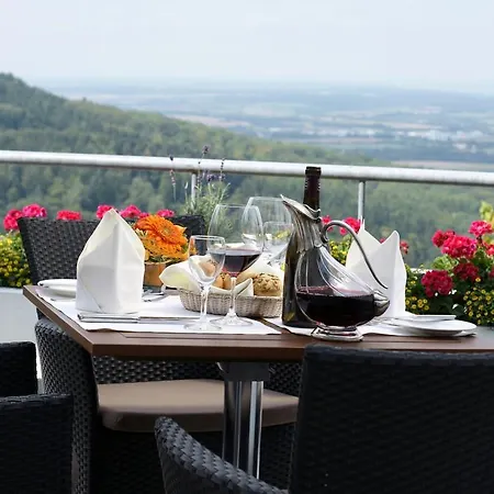 Panoramahotel Waldenburg 4*
